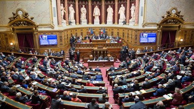 senat_380.jpg